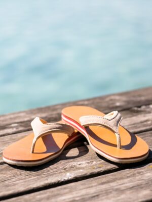 Flip Flop