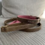 Hundehalsband und Leine